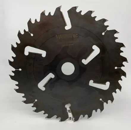 Пила дисковая 450 х 50 х 4,6/3,0 Z = (24 + 24) + 6 WoodTec