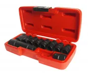 Набор головок специальных 1/2",3/8"  5-гранных и RIBE (10шт) JTC