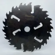 Пила дисковая 300 х 50 х 3,5/2,2 Z = 18 + 18 + 4 WoodTec