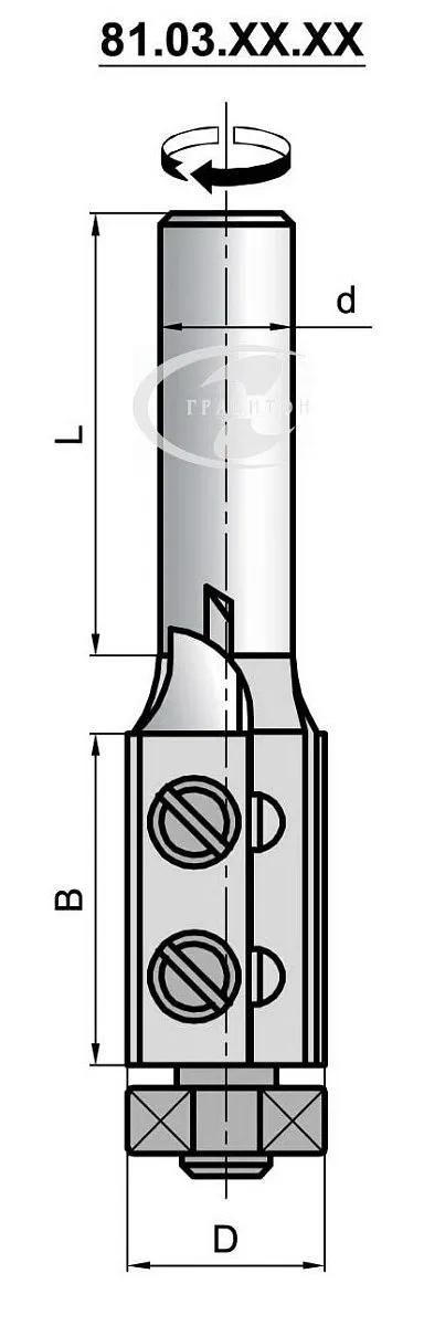 81.03.50.19.0.12 Концевая фреза для пазования D=19 мм, d хвостовика=12 мм, B=50 мм